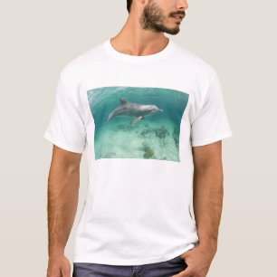 Bahamas, Grand Bahama Island, Freeport, Captive 6 T-Shirt