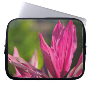 BAHAMAS, New Providence Island, Nassau: Paradise Laptop Sleeve