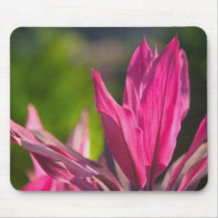 BAHAMAS, New Providence Island, Nassau: Paradise Mouse Pad