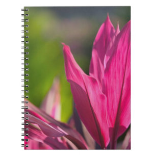BAHAMAS, New Providence Island, Nassau: Paradise Spiral Notebook