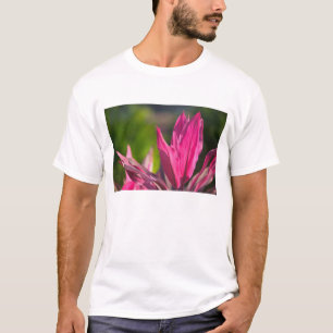 BAHAMAS, New Providence Island, Nassau: Paradise T-Shirt
