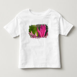 BAHAMAS, New Providence Island, Nassau: Paradise Toddler T-Shirt
