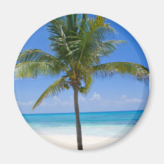 Bahamas Palm Magnet