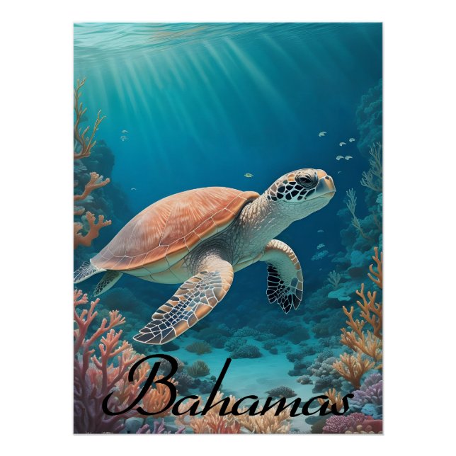 Bahamas Sea Turtle Travel Poster (Front)