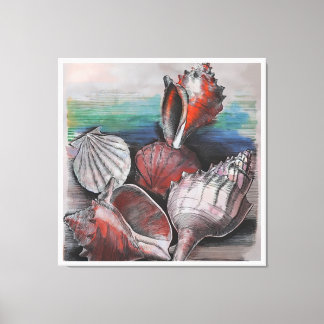 Bahamas Seashell Symphony, No.002 Canvas Print