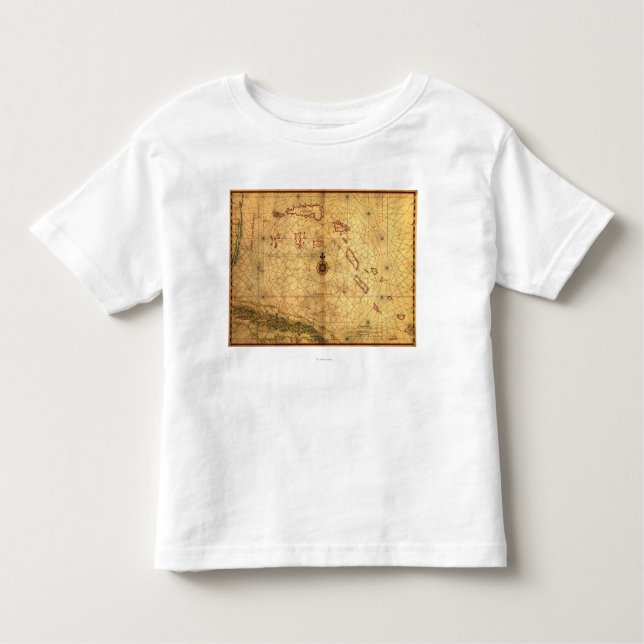BahamasPanoramic MapBahamas Toddler T-Shirt (Front)
