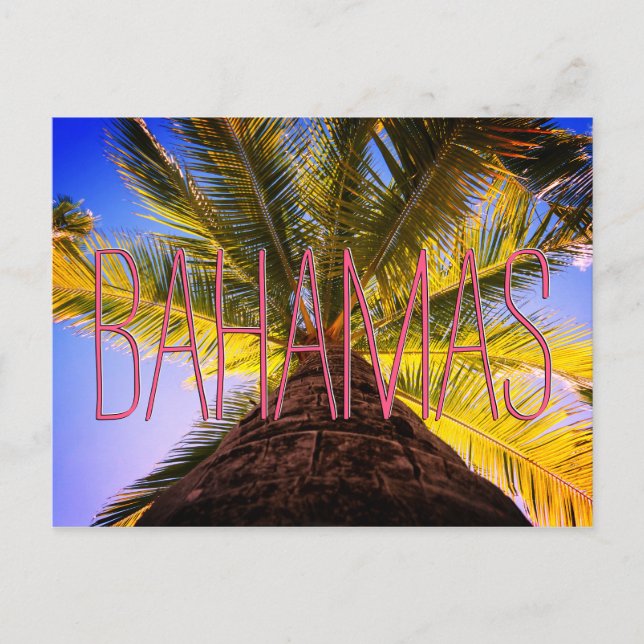 Bahamian Tree Postcard (Front)