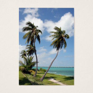 bahia honda state park and seven mile bridge