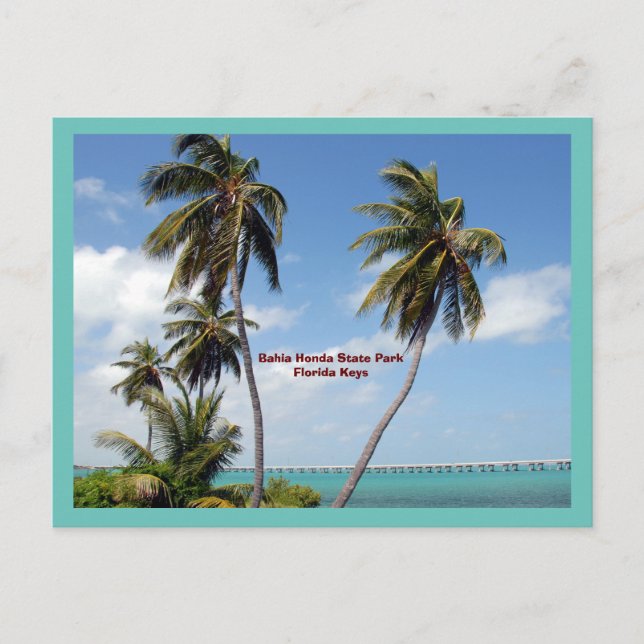Bahia Honda State Park Florida Keys Holiday Postcard (Front)