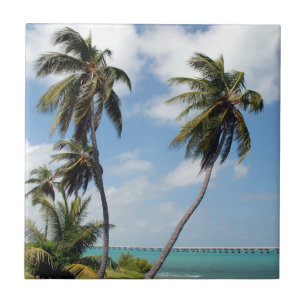 Bahia Honda State Park Tile