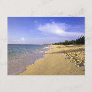 Baie Longue Long Bay beach, St. Martin, Postcard
