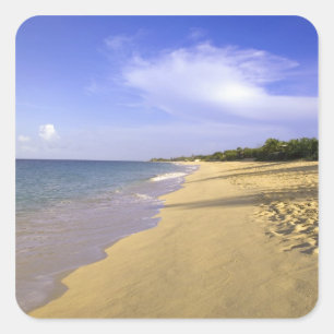 Baie Longue Long Bay beach, St. Martin, Square Sticker