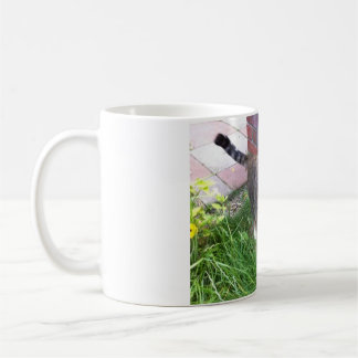 Bailey the cat mug