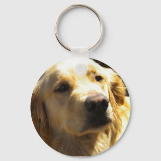 Bailey the Golden Retriever Keychain