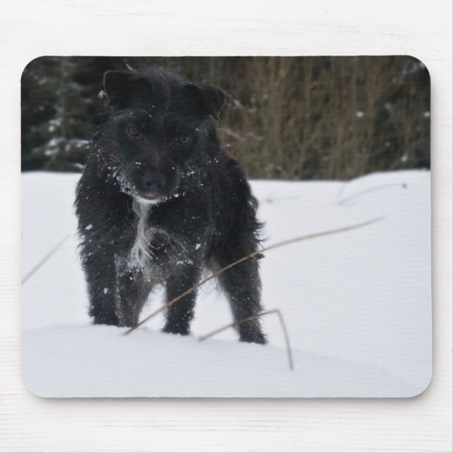 Bailey The Patterdale Terrier Mouse Pad (Front)