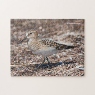 Baird's Sandpiper on the Beach Jigsaw Puzzle