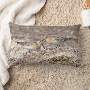 Baird's Sandpipers on Autumn Beach Lumbar Cushion