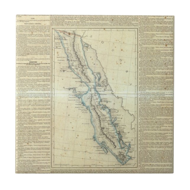 Baja California, Mexico Tile (Front)
