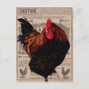 Baker's Special Poultry Postcard