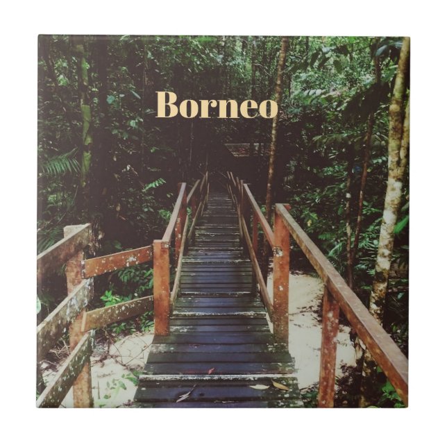 Bako National Park - Borneo Tile (Front)