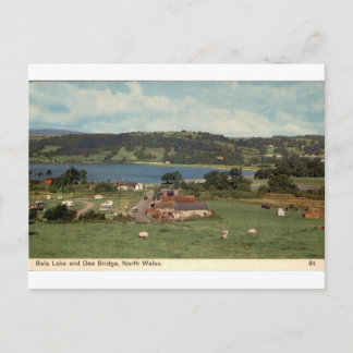 Bala Lake Dee Bridge North Wales Vintage View Postcard