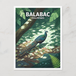 Balabac Island Forest Interior Philippines Travel Postcard