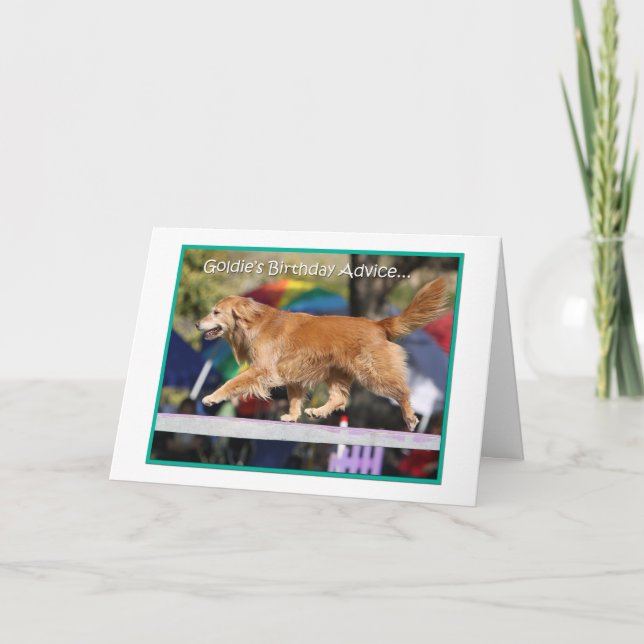 'Balance' Golden Retriever Agility Birthday Card (Front)