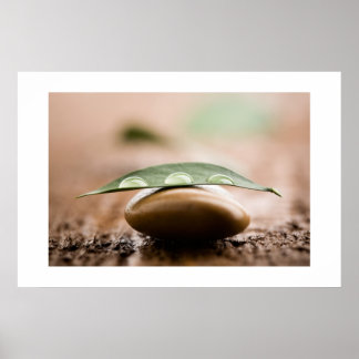 Balance poster/canvas poster