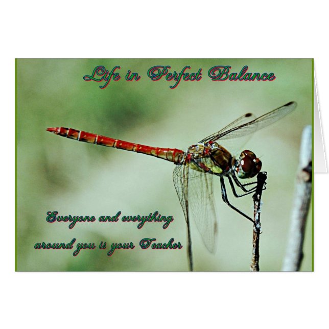 Balance with Nature (Front Horizontal)