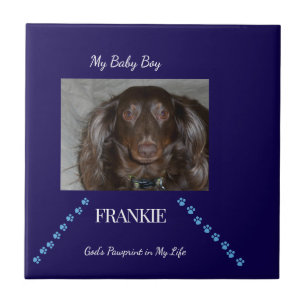 Balanced Pawprint Blessing Keepsake Tile