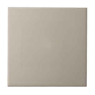 Balancing Beige Square Kitchen and Bathroom Tile