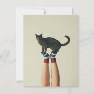Balancing Cat on Striped Socks, Cat Lovers Postcard