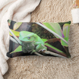 Balancing Frog Lumbar Cushion