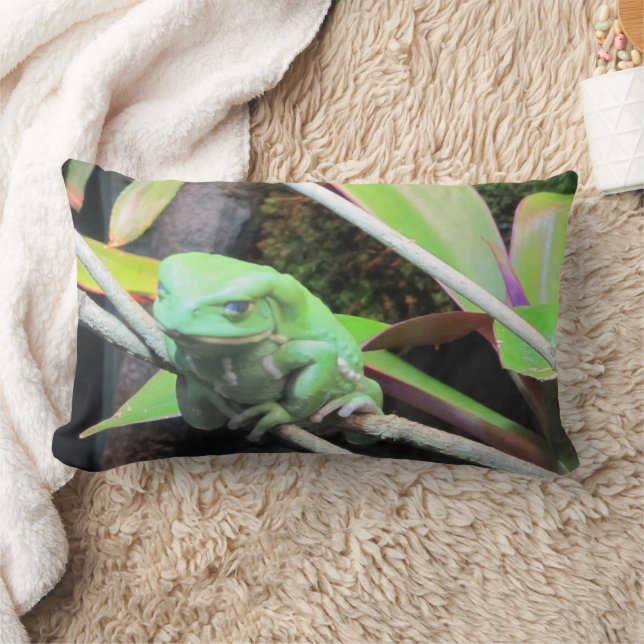 Balancing Frog Lumbar Cushion (Blanket)