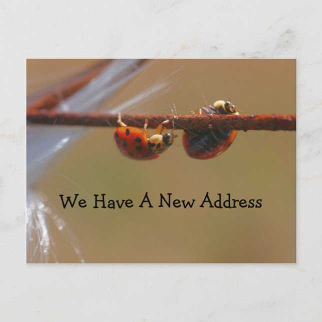 Balancing Ladybugs Change Of Address Announcement Postcard (Front)