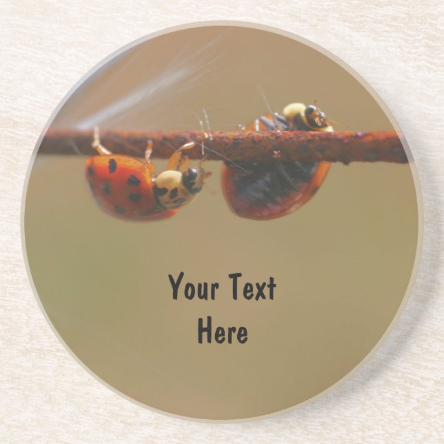 Balancing Ladybugs Nature Drink Coaster (Front)