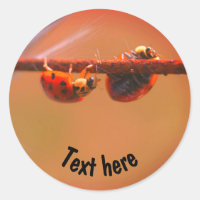 Balancing Ladybugs Nature Personalised
