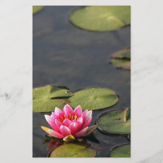 balboa park Lily stationary Stationery