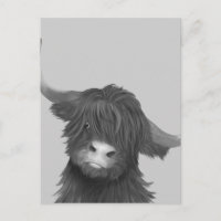 Balck and White Highland Cow 