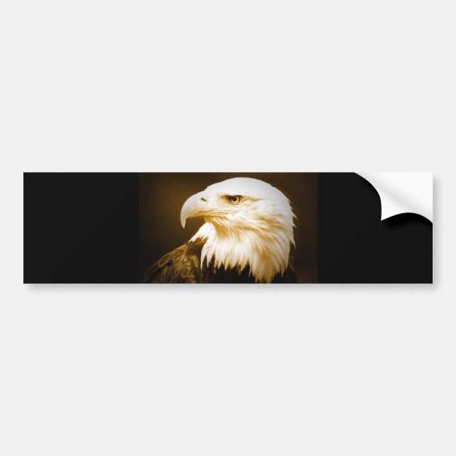 Bald American Eagle Eye Bumper Sticker (Front)