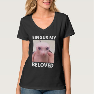 Bald Bingus My Beloved Hairless Sphinx Cat T-Shirt