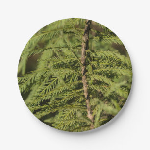 Bald Cypress Branch Paper Plate