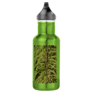 Bald Cypress Branch Water Bottle