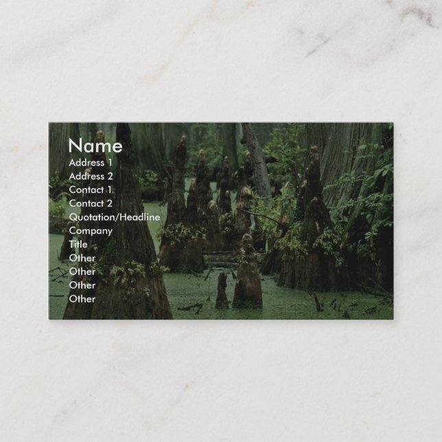 Bald cypress knees rising from swamp water business card (Front)