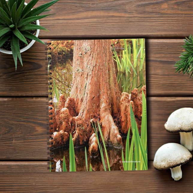 Bald Cypress Knees Spiral Notebook (Bald Cypress Knees in the Water Journal Cover Photo)