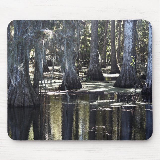 Bald Cypress Mouse Pad (Front)
