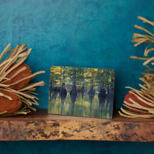 Bald Cypress Trees Horseshoe Lake Illinois Plaque