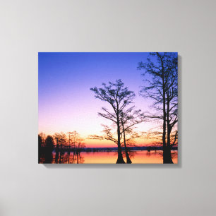 Bald Cypress Trees   National Wildlife Refuge, TN Canvas Print