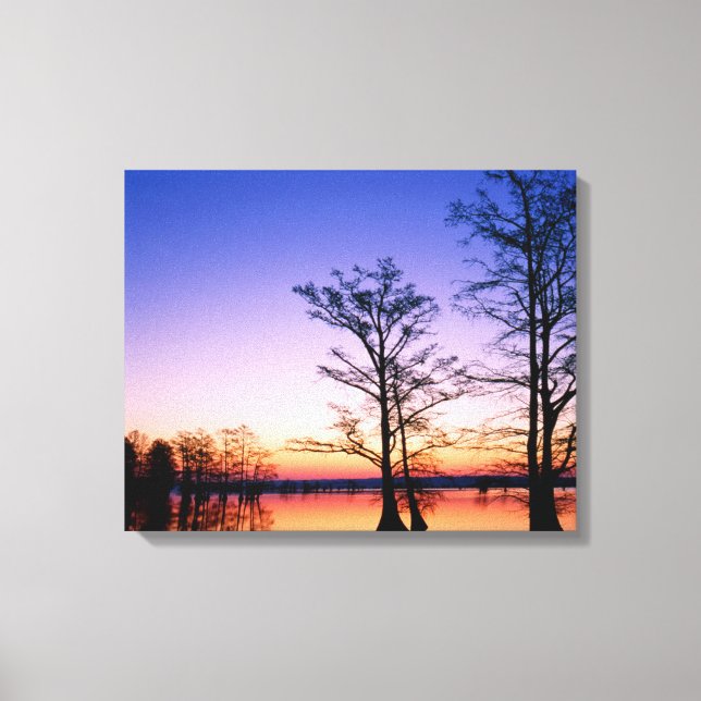 Bald Cypress Trees | National Wildlife Refuge, TN Canvas Print (Front)