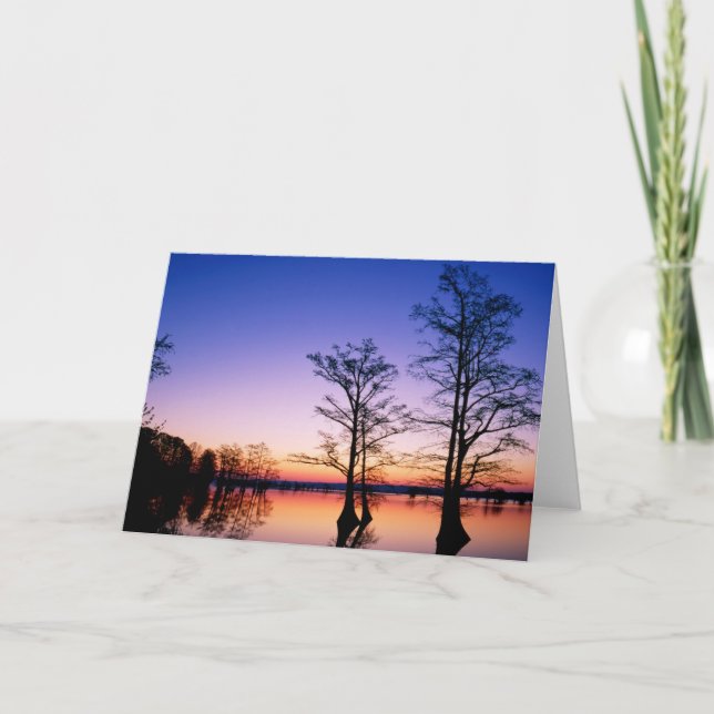 Bald Cypress Trees | National Wildlife Refuge, TN Card (Front)